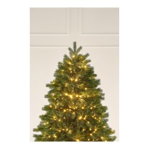 Елка с лампочками в Зеленом дворике