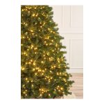 Елка с лампочками в Зеленом дворике