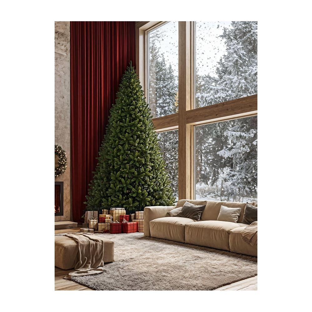 Ель высотная Кавказская