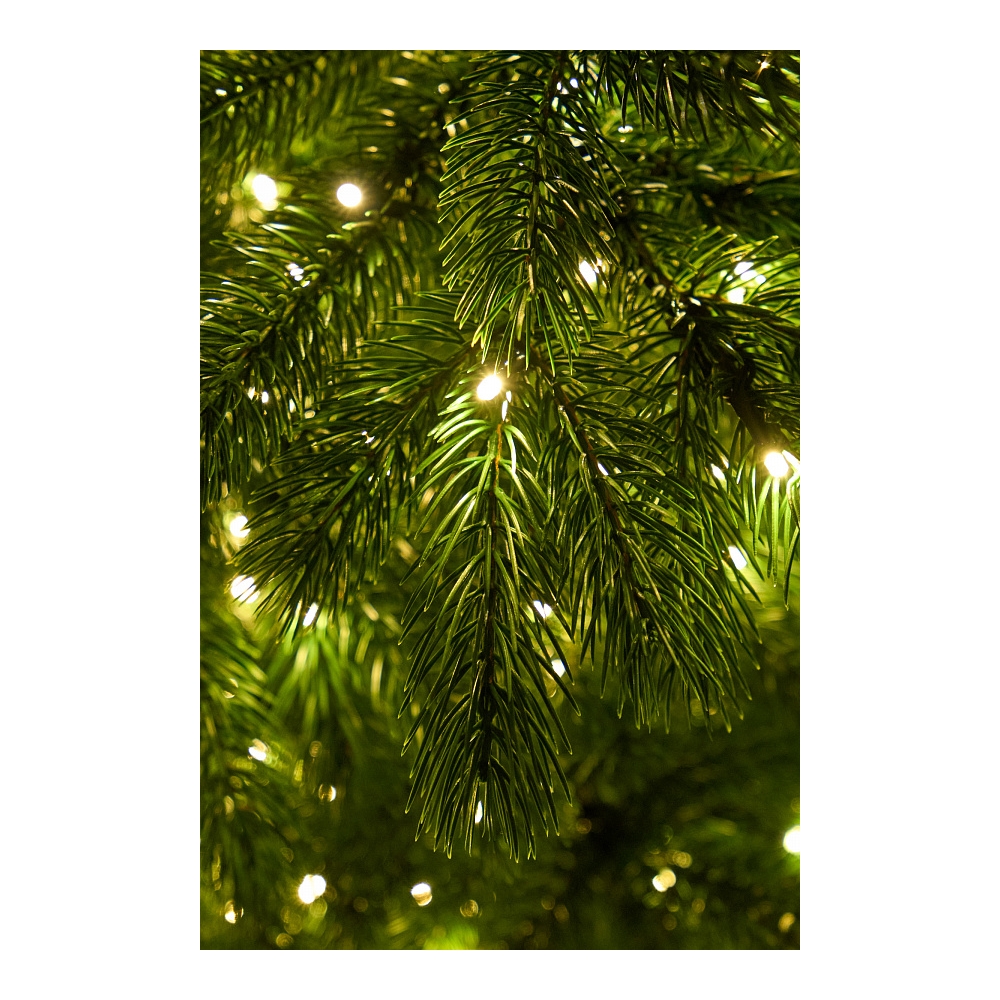 y2y4xxvbn40pw5j5giz3grmdbe6qxdl1 Искусственные ели в Зеленом дворике