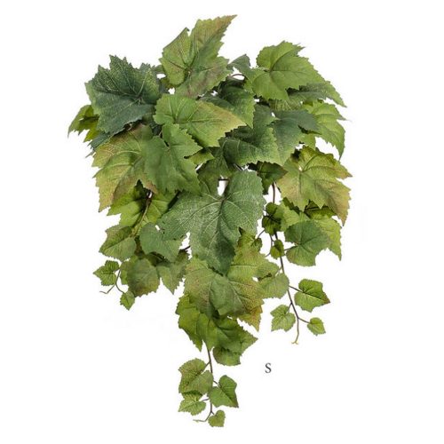 Виноградный куст ампельный