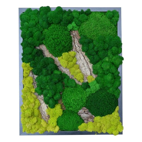Фитопанно 50*40 см